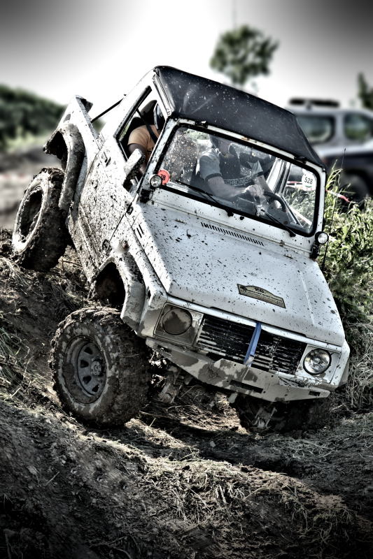 8. Platz Harald Unglert